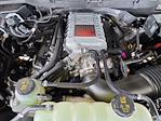 2025 Ford F-150 SuperCrew Cab 4x4 Pickup for sale #70568 - photo 17
