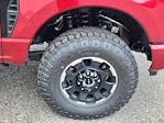 2025 Ford F-250 Crew Cab 4x4 Pickup for sale #70574 - photo 19