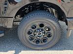 New 2025 Ford F-350 Lariat Crew Cab 4x4 SRW Pickup for sale #70590 - photo 16