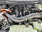 2025 Ford F-150 SuperCrew Cab 4x4 Pickup for sale #70593 - photo 17