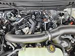 2025 Ford F-150 SuperCrew Cab 4x4 Pickup for sale #70601 - photo 17