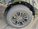 2025 Ford F-150 SuperCrew Cab 4x4 Pickup for sale #70606 - photo 19