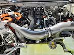 2025 Ford F-150 SuperCrew Cab 4x4 Pickup for sale #70609 - photo 20