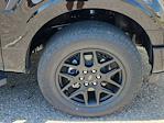 2025 Ford F-150 SuperCrew Cab 4x4 Pickup for sale #70624 - photo 19