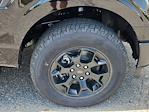 2025 Ford F-150 SuperCrew Cab 4x4 Pickup for sale #70643 - photo 19