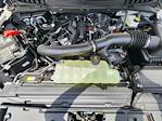 2025 Ford F-150 SuperCrew Cab 4x4 Pickup for sale #70664 - photo 19
