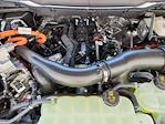 2025 Ford F-150 SuperCrew Cab 4x4 Pickup for sale #70676 - photo 20