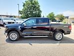 2025 Ford F-150 SuperCrew Cab 4x4 Pickup for sale #70676 - photo 5