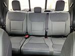 New 2025 Ford F-150 XLT SuperCrew Cab 4x4 Pickup for sale #70677 - photo 13