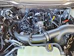 2025 Ford F-150 SuperCrew Cab 4x4 Pickup for sale #70738 - photo 20