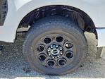 2023 Ford F-250 Crew Cab 4x4 Pickup for sale #70798A - photo 19
