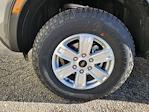 2025 Ford Ranger SuperCrew Cab 4WD Pickup for sale #70858 - photo 20