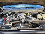Used 2024 Ford F-350 Platinum Crew Cab for sale #70884A - photo 21