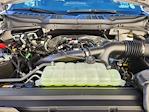 New 2025 Ford F-150 XLT SuperCrew Cab for sale #71585 - photo 21