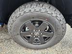 2025 Ford Bronco 4WD SUV for sale #71641 - photo 19