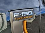 2025 Ford F-150 SuperCrew Cab 4WD Pickup for sale #71663 - photo 16