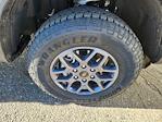 New 2025 Ford Ranger XLT SuperCrew Cab for sale #71735 - photo 19