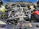 New 2025 Ford Ranger XLT SuperCrew Cab for sale #71745 - photo 21