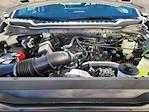New 2026 Ford F-250 XL Regular Cab for sale #72042 - photo 18