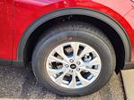 2025 Ford Escape AWD SUV for sale #69709 - photo 15