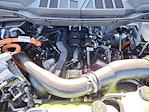 2024 Ford F-150 SuperCrew Cab 4x4 Pickup for sale #69726 - photo 17