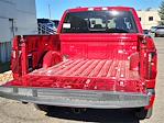 2024 Ford F-150 SuperCrew Cab 4x4 Pickup for sale #69727 - photo 14