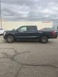 2023 Ford F-150 Lightning SuperCrew Cab AWD Pickup for sale #P2425 - photo 1