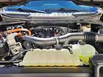 2024 Ford F-150 SuperCrew Cab 4WD Pickup for sale #P2908 - photo 23
