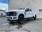 2025 Ford F-350 Crew Cab SRW 4x4 Pickup for sale #25F2854 - photo 3