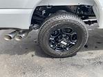 2025 Ford F-350 Crew Cab SRW 4x4 Pickup for sale #25F2854 - photo 30