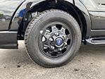 New 2025 Ford Transit 250 AWD Passenger Van for sale #25F2869 - photo 54