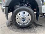 2025 Ford F-550 Crew Cab DRW 4x4 Cab Chassis for sale #25F2873 - photo 22