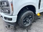 2025 Ford F-350 Regular Cab SRW 4x4 Pickup for sale #25F2961 - photo 18