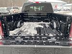 2025 Ford F-150 SuperCrew Cab 4x4 Pickup for sale #25T2566 - photo 24