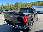 2025 Ford F-150 SuperCrew Cab 4x4 Pickup for sale #25T2566 - photo 13