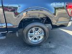 2025 Ford F-150 SuperCrew Cab 4x4 Pickup for sale #25T2566 - photo 24
