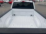 New 2025 Ford F-150 XL Regular Cab for sale #25T3145 - photo 16