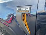 2025 Ford F-150 SuperCrew Cab 4x4 Pickup for sale #25T3304 - photo 14