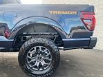 2025 Ford F-150 SuperCrew Cab 4x4 Pickup for sale #25T3304 - photo 18