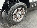 2025 Ford F-350 Crew Cab SRW 4x4 Pickup for sale #3339A - photo 8