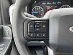 New 2025 Ford F-600 Regular Cab 4x4 Cab Chassis for sale #25F2823 - photo 32
