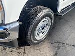 2025 Ford F-350 Regular Cab SRW 4x4 Pickup for sale #25F2485 - photo 13