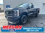 2026 Ford F-350 Regular Cab SRW 4x4 Pickup for sale #26F3170 - photo 1