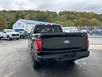2025 Ford F-150 SuperCrew Cab 4x4 Pickup for sale #C37768 - photo 10