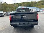 2025 Ford F-150 SuperCrew Cab 4x4 Pickup for sale #C37768 - photo 11