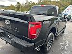 2025 Ford F-150 SuperCrew Cab 4x4 Pickup for sale #C37768 - photo 12