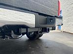 2025 Ford F-450 Regular Cab DRW 4x4 Pickup for sale #25F2904 - photo 27
