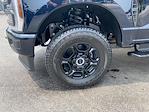 2025 Ford F-350 Crew Cab SRW 4x4 Pickup for sale #25F2902 - photo 22