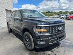 2025 Ford F-150 SuperCrew Cab 4x4 Pickup for sale #F00853 - photo 17