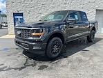 2025 Ford F-150 SuperCrew Cab 4x4 Pickup for sale #F00853 - photo 2